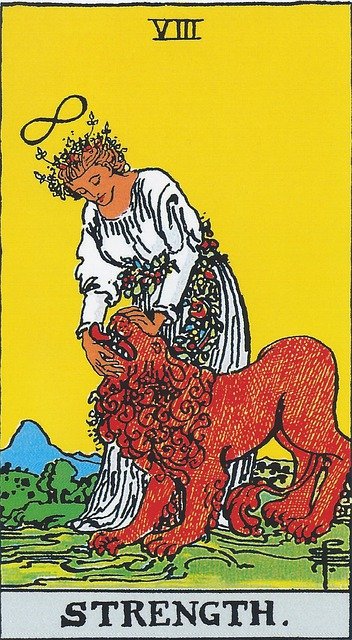 Tarot Card Strength
A woman in white, wearing both a crown and girdle of leaves and berries, stands petting a lion that is responding just like a happy pet.  Above her head is an infinity symbol.  There are mountains and trees in the distance and the sky is a bright yellow.