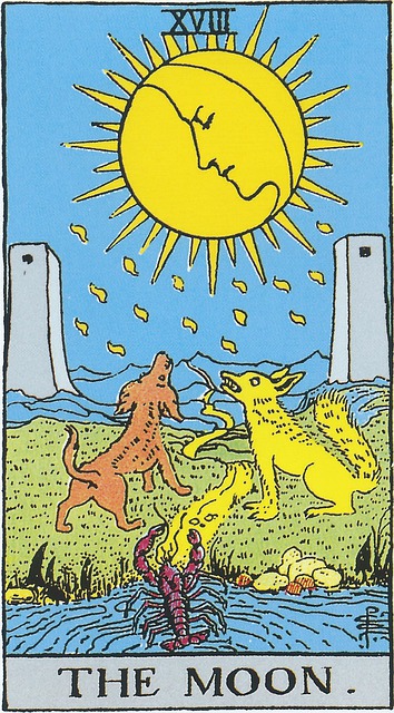 Tarot card 18:  The Moon.  
A combination of sun and moon, eyes closed, overlooks a scene that is anchored by two towers.  In the center of the scene are two dogs, one appearing domesticated and one appearing more wild or fierce.  The two dogs are on either side of a path that leads off in the distance towards the hills.  In the foreground is a body of water, with a crustacean (Lobster, crab, crayfish?) that is just setting foot on the path that leads between the two dogs.  